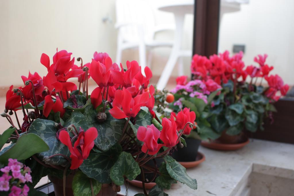 芭芭拉度假屋 特拉帕尼 外观 照片